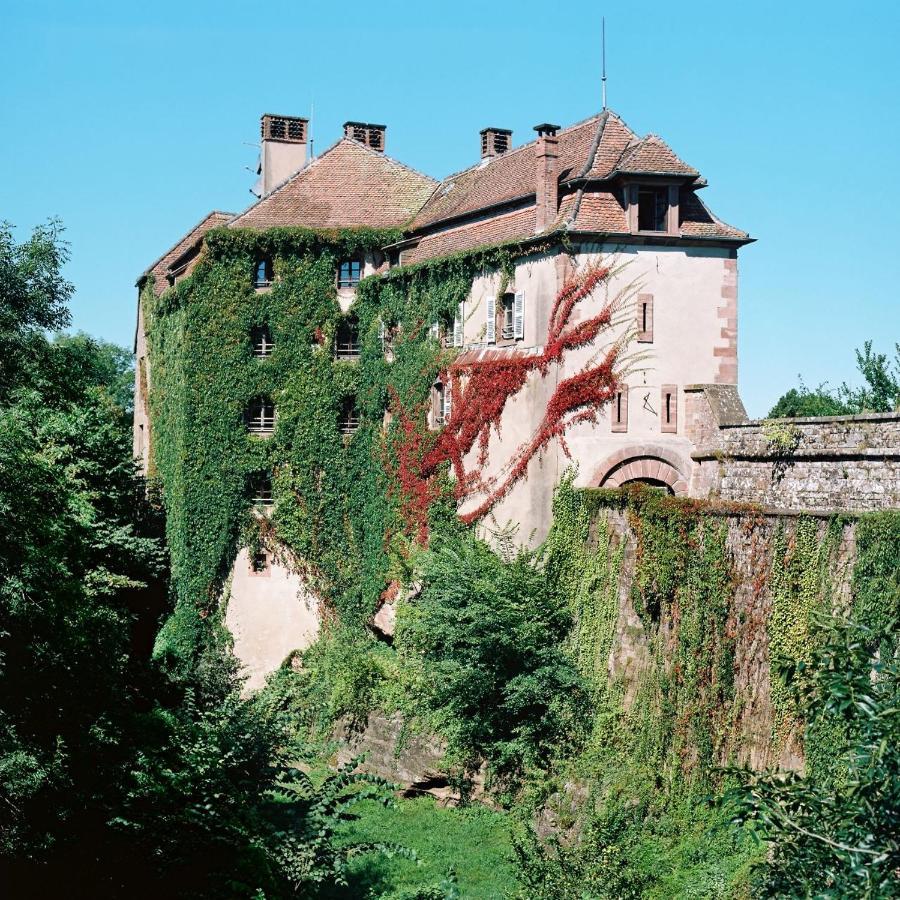 La Clairiere Bio & Spahotel La Petite-Pierre Exterior photo